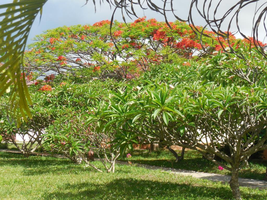 Swahili Beach Resort Zanzibar Exterior photo